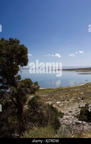 MAMMOTH Lakes, Stati Uniti d'America - agosto 9 2013: bellissimo scenario naturale intorno a Mammoth Lakes in California, con il lago e una naturale e il deserto paesaggio intorno Foto Stock