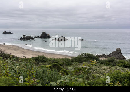 La costa lungo brookings, Oregon Foto Stock