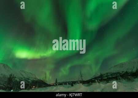 Aurora anche noto come Northern lights girato durante il natale in 2014 a Tromsø in Norvegia. Esso è stato una volta in un tempo di vita evento. il verde Angel ballato per15min Foto Stock