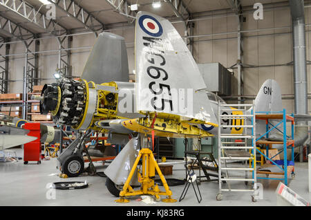 Hawker Sea Fury T.20 in fase di manutenzione, Duxford, UK. Foto Stock