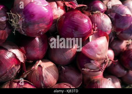 Le cipolle rosse sul display in un mercato agricolo in weslaco, Texas. Foto Stock