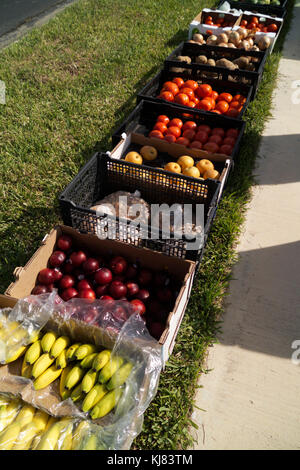 Una selezione di frutta e verdura disponibile da un viaggio mercato ortofrutticolo. Foto Stock