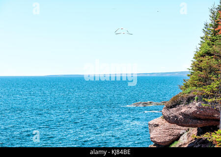 Si affacciano sull'oceano sul sentiero in Isola di Bonaventura, Quebec, Canada da Perce in Gaspesie, Gaspea area con gannett uccelli da costa rocciosa Foto Stock