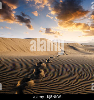 Impronte sulla sabbia nel deserto Foto Stock