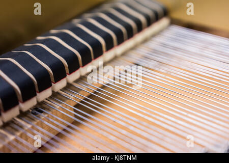 Nero gli smorzatori di stringa all'interno di un pianoforte Foto Stock