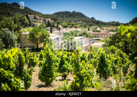 Villaggio storico di Gigondas, Cotes du Rhone, Provenza, Francia Foto Stock