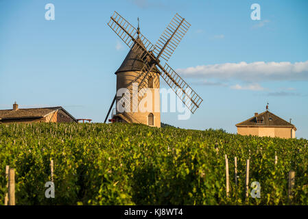 Mulino a vento nei pressi di chenas, Borgogna, in Francia, in Europa. Foto Stock