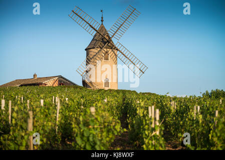 Mulino a vento nei pressi di chenas, Borgogna, in Francia, in Europa. Foto Stock