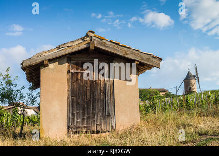 Mulino a vento nei pressi di chenas, Borgogna, in Francia, in Europa. Foto Stock