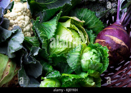 Varie di Cavolo broccoli Cavolfiori. assortita di cavoli cappucci in basket Foto Stock