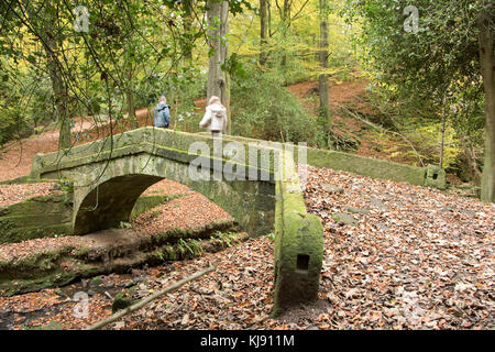 Sheffield, Regno Unito - 28 Ott: due bambini di giocare sul ponte packhorse coperto di foglie di autunno il 28 Ott 2016 a Glen Howe Park, lato Whancliffe Foto Stock