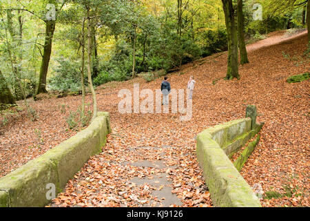 Sheffield, Regno Unito - 28 Ott: due bambini giocare nel bosco in autunno il 28 Ott 2016 a Glen Howe Park, vista dal ponte packhorse Foto Stock