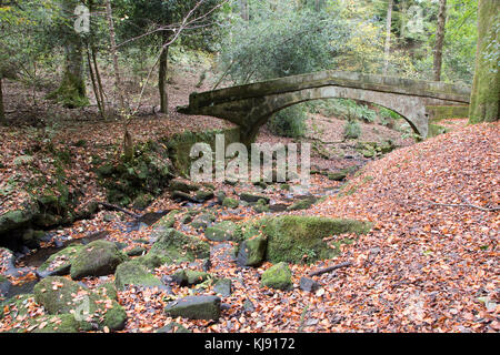 Sheffield, Regno Unito - 28 Ott: Tinker Brook passa sotto il ponte packhorse coperti in caduta foglie di autunno il 28 Ott 2016 a Glen Howe Park Foto Stock