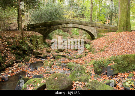 Sheffield, Regno Unito - 28 Ott: Tinker Brook passa sotto il ponte packhorse coperti in caduta foglie di autunno il 28 Ott 2016 a Glen Howe Park Foto Stock