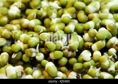 Fresco verde piselli Vigna radiata con i germogli vicino. Foto Stock