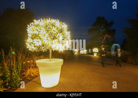 Londra, Regno Unito. Xxi nov, 2017. viste la notte di Natale a Kew, un dopo-dark walk con installazioni luminose e sonore in kew gardens, West London, ora nel suo quinto anno. photo Data: martedì, novembre 21, 2017. Credito: roger garfield/alamy live news Foto Stock