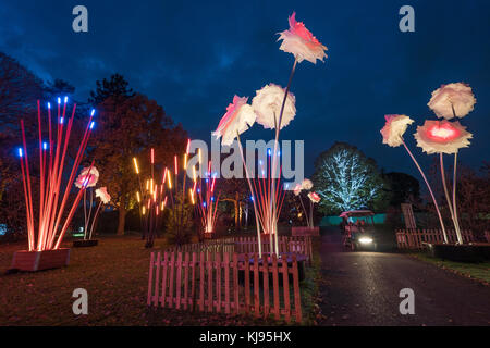 Londra, Regno Unito. Xxi nov, 2017. viste la notte di Natale a Kew, un dopo-dark walk con installazioni luminose e sonore in kew gardens, West London, ora nel suo quinto anno. photo Data: martedì, novembre 21, 2017. Credito: roger garfield/alamy live news Foto Stock