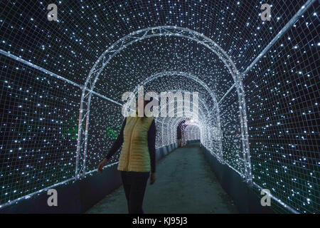 Londra, Regno Unito. Xxi nov, 2017. viste la notte di Natale a Kew, un dopo-dark walk con installazioni luminose e sonore in kew gardens, West London, ora nel suo quinto anno. photo Data: martedì, novembre 21, 2017. Credito: roger garfield/alamy live news Foto Stock