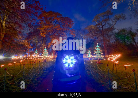 Londra, Regno Unito. Xxi nov, 2017. viste la notte di Natale a Kew, un dopo-dark walk con installazioni luminose e sonore in kew gardens, West London, ora nel suo quinto anno. photo Data: martedì, novembre 21, 2017. Credito: roger garfield/alamy live news Foto Stock