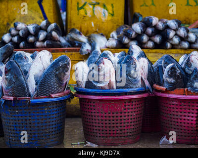 Yangon, regione di Yangon, Myanmar. 23 novembre 2017. Pesce in vendita al mercato del pesce di San Pya. Il mercato del pesce di San Pya è uno dei più grandi mercati del pesce di Yangon. E' un mercato aperto 24 ore su 24, ma il piu' trafficato la mattina presto. La maggior parte del pesce presente sul mercato è pescato allo stato selvatico, ma l'acquacoltura si sta espandendo in Myanmar e più pesce d'acqua dolce d'allevamento viene venduto oggi che in passato. Crediti: Jack Kurtz/ZUMA Wire/Alamy Live News Foto Stock