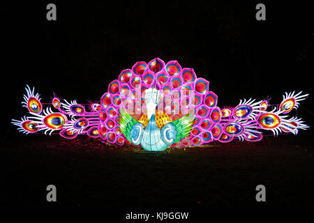 Londra, Regno Unito. 23 Nov, 2017. Lanterna Magica Festival, Chiswick House Gardens, Londra, Regno Unito, 23 novembre 2017, Foto di Richard Goldschmidt Credito: ricca di oro/Alamy Live News Foto Stock