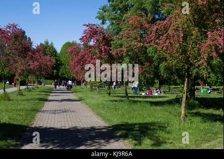 Parco Nord Milano è un metropolita parco suburbano situato nella periferia nord di Milano. Classificato come regionale, si estende tra la città di Milano, Bresso, Cusano Milanino, Cormano, Cinisello Balsamo e Sesto San Giovanni. Foto Stock