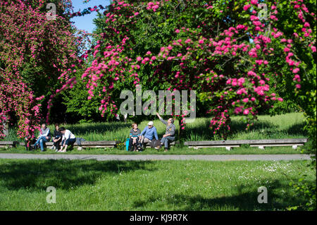 Parco Nord Milano è un metropolita parco suburbano situato nella periferia nord di Milano. Classificato come regionale, si estende tra la città di Milano, Bresso, Cusano Milanino, Cormano, Cinisello Balsamo e Sesto San Giovanni. Foto Stock