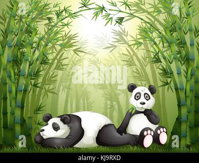 Illustrazione di due panda in la foresta di bamboo Illustrazione Vettoriale