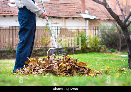 Pulizia uomo caduto foglie di autunno nel cortile posteriore Foto Stock