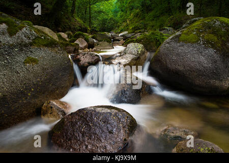 Dark rapida con flusso luminoso blu sfocate onde. Grandi massi di muschio in chiare acque del fiume di montagna. Foto Stock