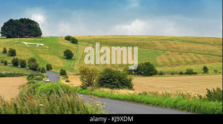 Hackpen Hill cavallo bianco e la Ridgeway. Foto Stock