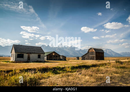 Abbandonato homestead a mormon fila su Antelope Flats affacciato sul parco nazionale di Grand Teton. ex proprietà di Thomas Murphy Foto Stock