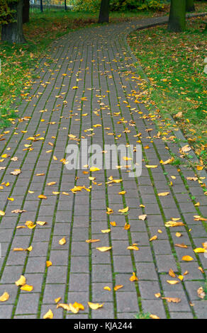 Pavimentazione in lastre, vialetto pavimentazione, il colorato rivestimento piastrelle Foto Stock