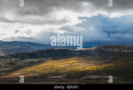 Luogo di sole sulle montagne norvegesi. Rondane, Norvegia. Foto Stock