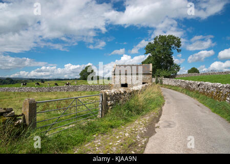 Tranquillo vicolo del paese vicino a Hartington nel picco bianco, Derbyshire, in Inghilterra. Foto Stock