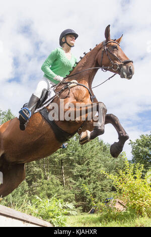 Hanoverian cavallo. Rider superare un ostacolo durante un cross-country ride, visto dal di sotto. Germania Foto Stock