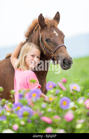 Freiberger cavallo, Franches-Montagnes. Bambina in piedi accanto ai castagni puledro in fiori. Svizzera Foto Stock