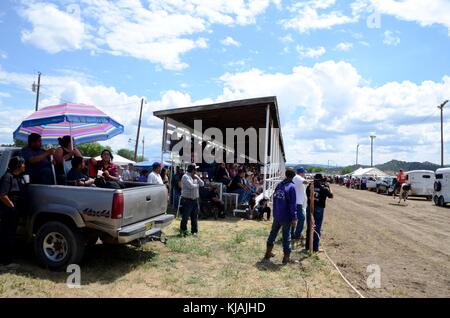 Jacrilla apache indian spettatori al traguardo del pony express corsa di cavalli 2017 guardare un ciclista che arrivano dulce nuovo Messico usa Foto Stock