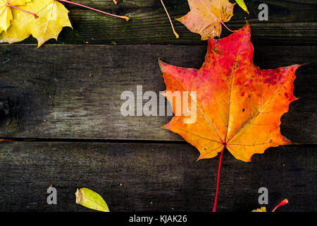 Red maple leaf su uno sfondo di legno Foto Stock