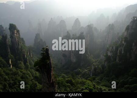 Fumoso il tramonto del zhangjiajie National Forest park's cime frastagliate e colonne di pietra calcarea nella provincia del Hunan in Cina Foto Stock