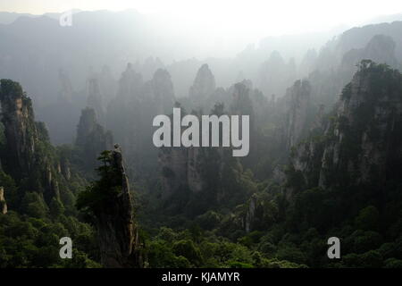 Fumoso il tramonto del zhangjiajie National Forest park's cime frastagliate e colonne di pietra calcarea nella provincia del Hunan in Cina Foto Stock