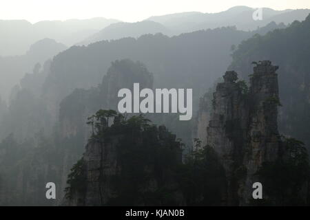 Fumoso il tramonto del zhangjiajie National Forest park's cime frastagliate e colonne di pietra calcarea nella provincia del Hunan in Cina Foto Stock