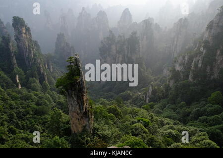 Fumoso il tramonto del zhangjiajie National Forest park's cime frastagliate e colonne di pietra calcarea nella provincia del Hunan in Cina Foto Stock