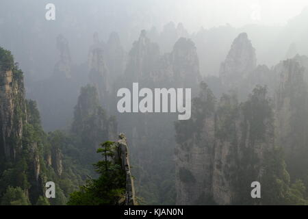 Fumoso il tramonto del zhangjiajie National Forest park's cime frastagliate e colonne di pietra calcarea nella provincia del Hunan in Cina Foto Stock