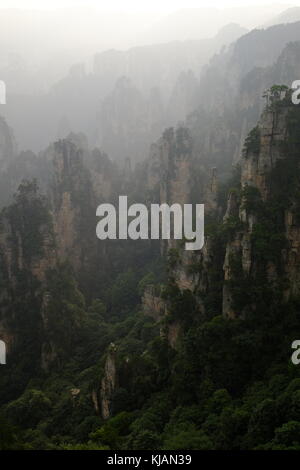 Fumoso il tramonto del zhangjiajie National Forest park's cime frastagliate e colonne di pietra calcarea nella provincia del Hunan in Cina Foto Stock