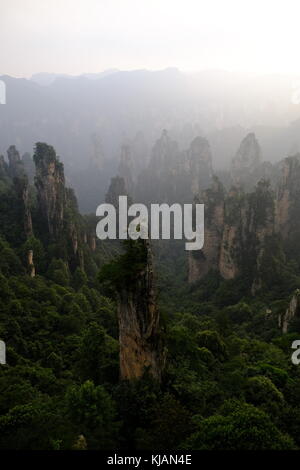 Fumoso il tramonto del zhangjiajie National Forest park's cime frastagliate e colonne di pietra calcarea nella provincia del Hunan in Cina Foto Stock