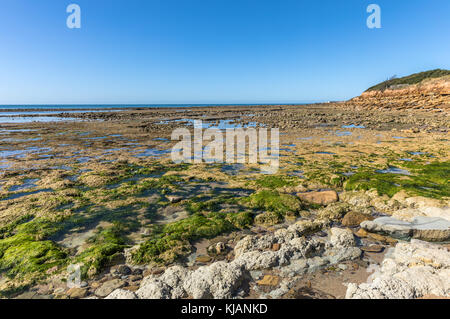 Veillon foreshore in talmont-saint-Hilaire (vendee, Francia) Foto Stock