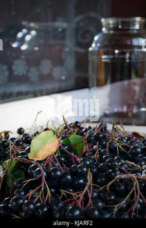 Bacche di chokeberry e vaso sulla finestra Foto Stock