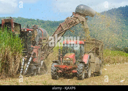 Trattori e mietitrebbia lavora in tandem per la raccolta di canna da zucchero, vicino a Cairns, estremo Nord Queensland, FNQ, QLD, Australia Foto Stock