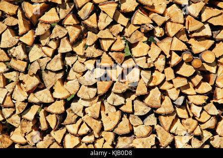 La fine di un woodpile di legna da ardere di betulla come sfondo Foto Stock